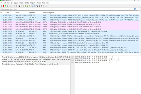 Wireshark capture analysis